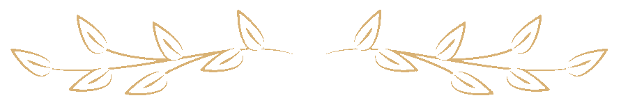 senior living spacer for the "From Delay to Decision" section