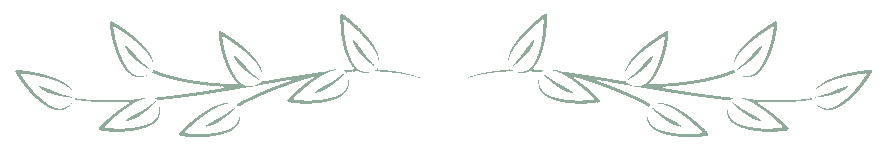 sage color branches separator for the "3 Ways Trust Is Built in the Online Space" section